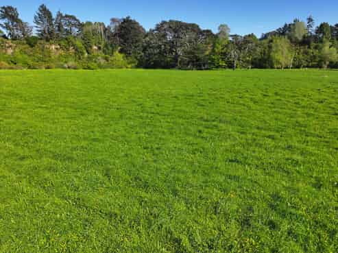 84326 State Highway 2, Eketahuna
