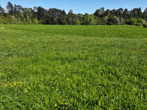 84326 State Highway 2, Eketahuna
