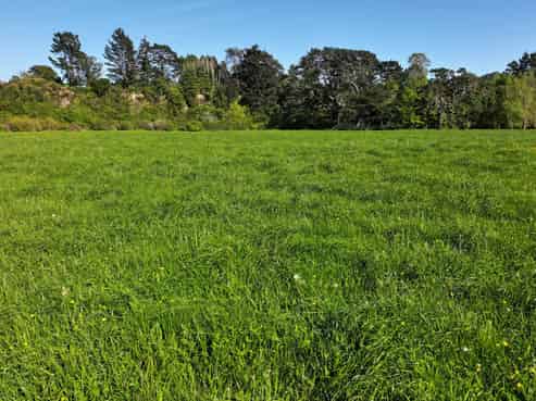 84326 State Highway 2, Eketahuna