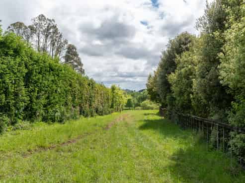76 Fletcher Road, Ngahinapouri
