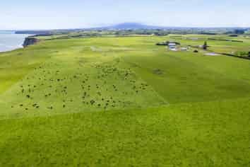 698 Manawapou Road, Hawera