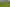 644 Upper Pitone Road, Pitone