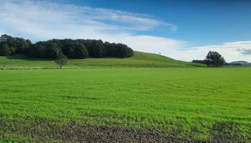 5466B State Highway 14, Dargaville