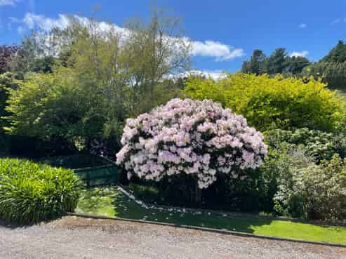 1063 Ngapaeruru Road, Dannevirke