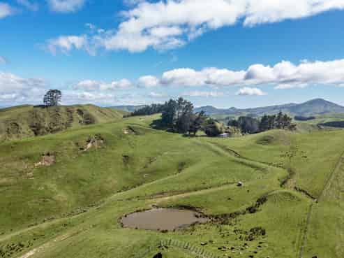 1063 Ngapaeruru Road, Dannevirke