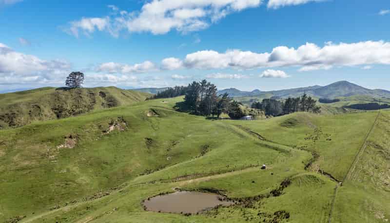 1063 Ngapaeruru Road, Dannevirke