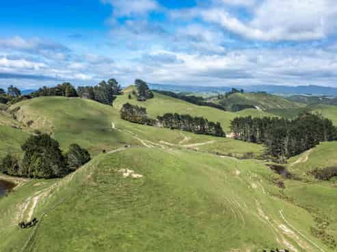 1063 Ngapaeruru Road, Dannevirke
