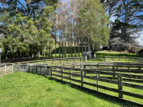 1063 Ngapaeruru Road, Dannevirke