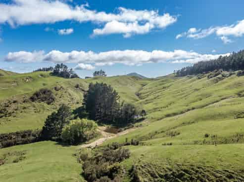 1063 Ngapaeruru Road, Dannevirke