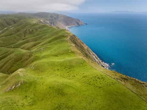 Lot 1 and  320 Boom Rock Road, Ohariu