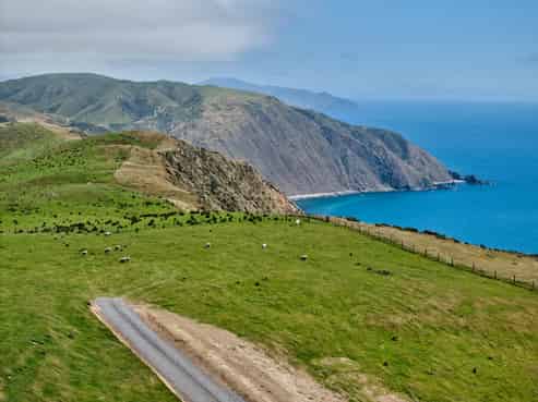 Lot 1 and  320 Boom Rock Road, Ohariu