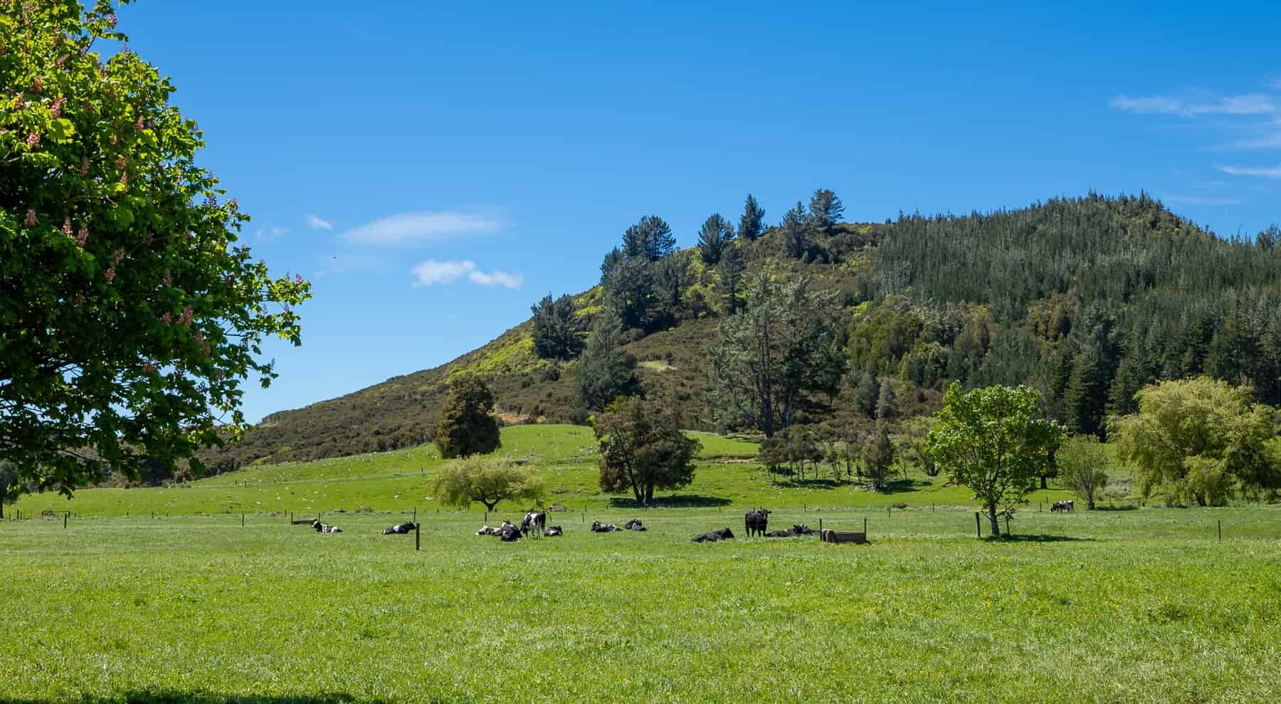 383 Aorere Valley Road, Bainham, Tasman - For Sale - realestate.co.nz