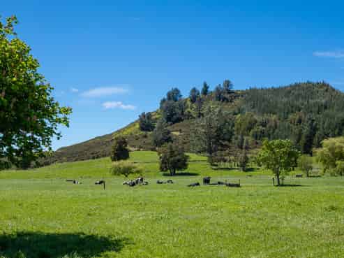383 Aorere Valley Road, Bainham
