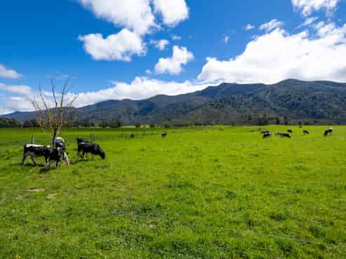 402 Aorere Valley Road, Bainham