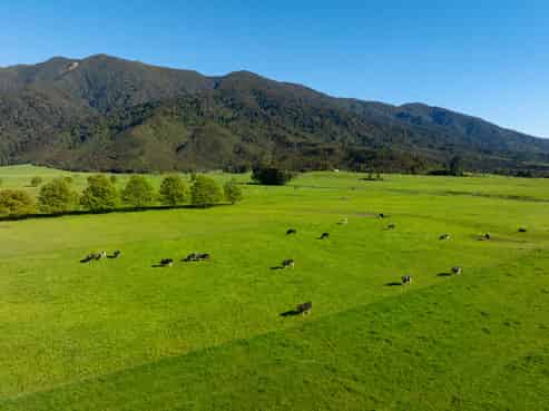 402 Aorere Valley Road, Bainham