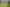 923 Oporae Road, Dannevirke