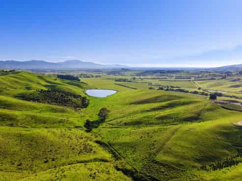  Hawkesbury Road, Hawkesbury