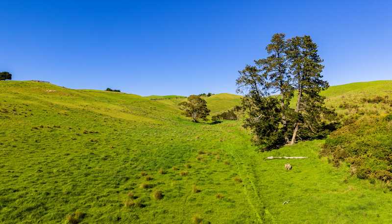  Hawkesbury Road, Hawkesbury