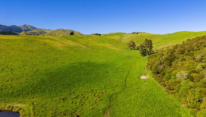  Hawkesbury Road, Hawkesbury