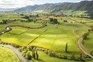 1387 Old Te Aroha Road, Okauia, Matamata-Piako, Waikato