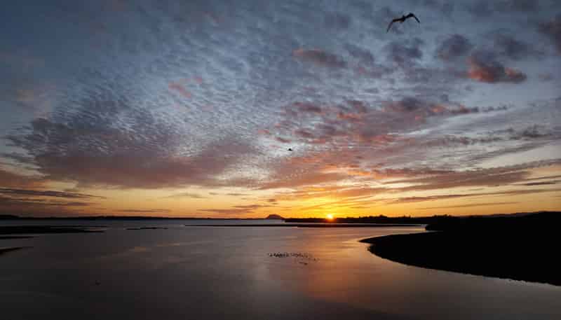 46 Prestidge Road, Aongatete