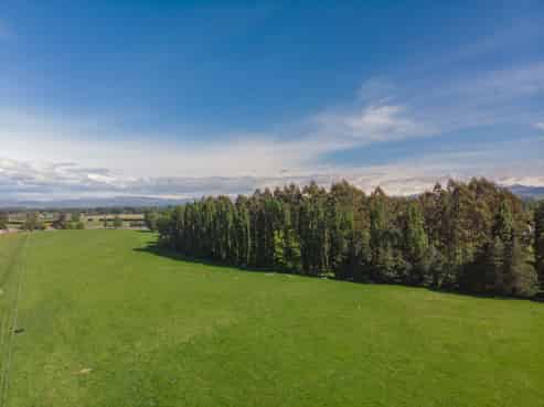 79 Halstead Road, Pleasant Point