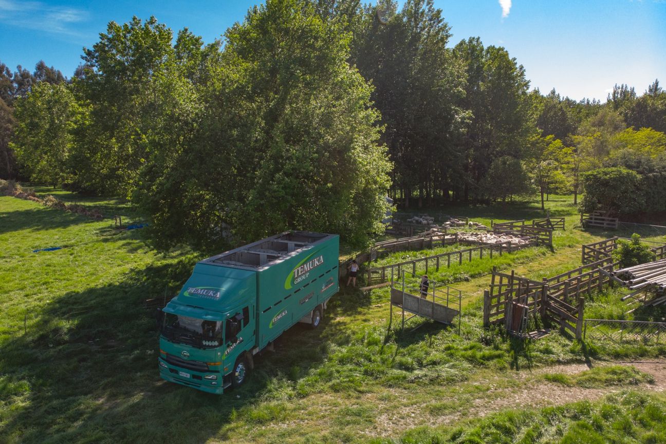 Lifestyle on boundary - Mehr