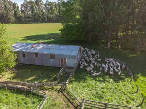 79 Halstead Road, Pleasant Point
