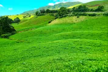 Lot 4 Te Rore Road, Kaitaia