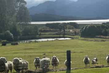 35 Patience Bay Drive, Te Anau