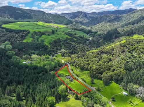 301 Neavesville Road, Puriri