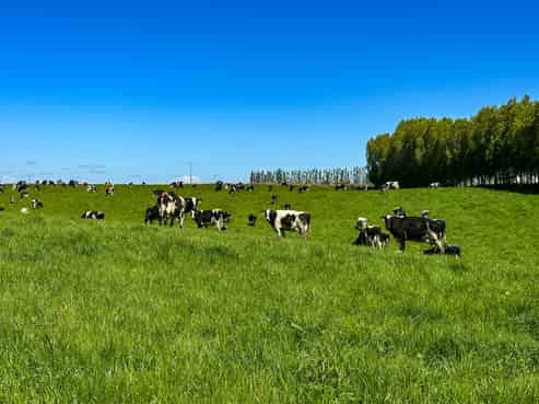 1593 Glenkenich Road, West Otago Surrounds