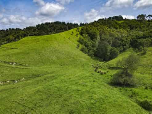 Lot 1 3315 State Highway 2, Waitakaruru
