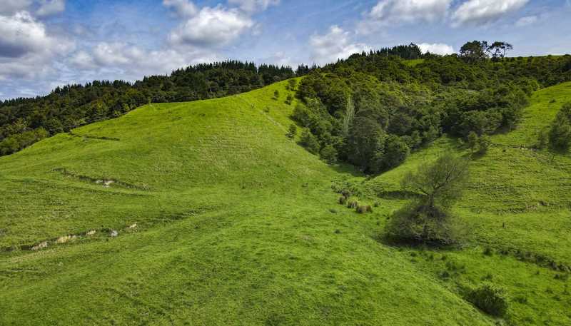 Lot 1 3315 State Highway 2, Waitakaruru