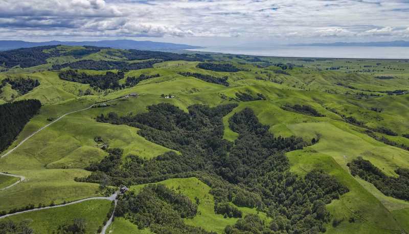 Lot 1 3315 State Highway 2, Waitakaruru