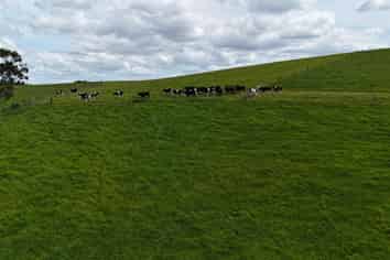  State Highway 10, Kaeo
