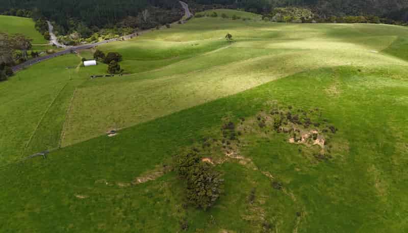  State Highway 10, Kaeo