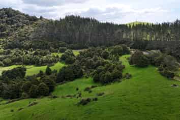  State Highway 10, Kaeo