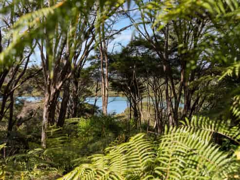 Lot 2/ 24 Green Road, Matakana