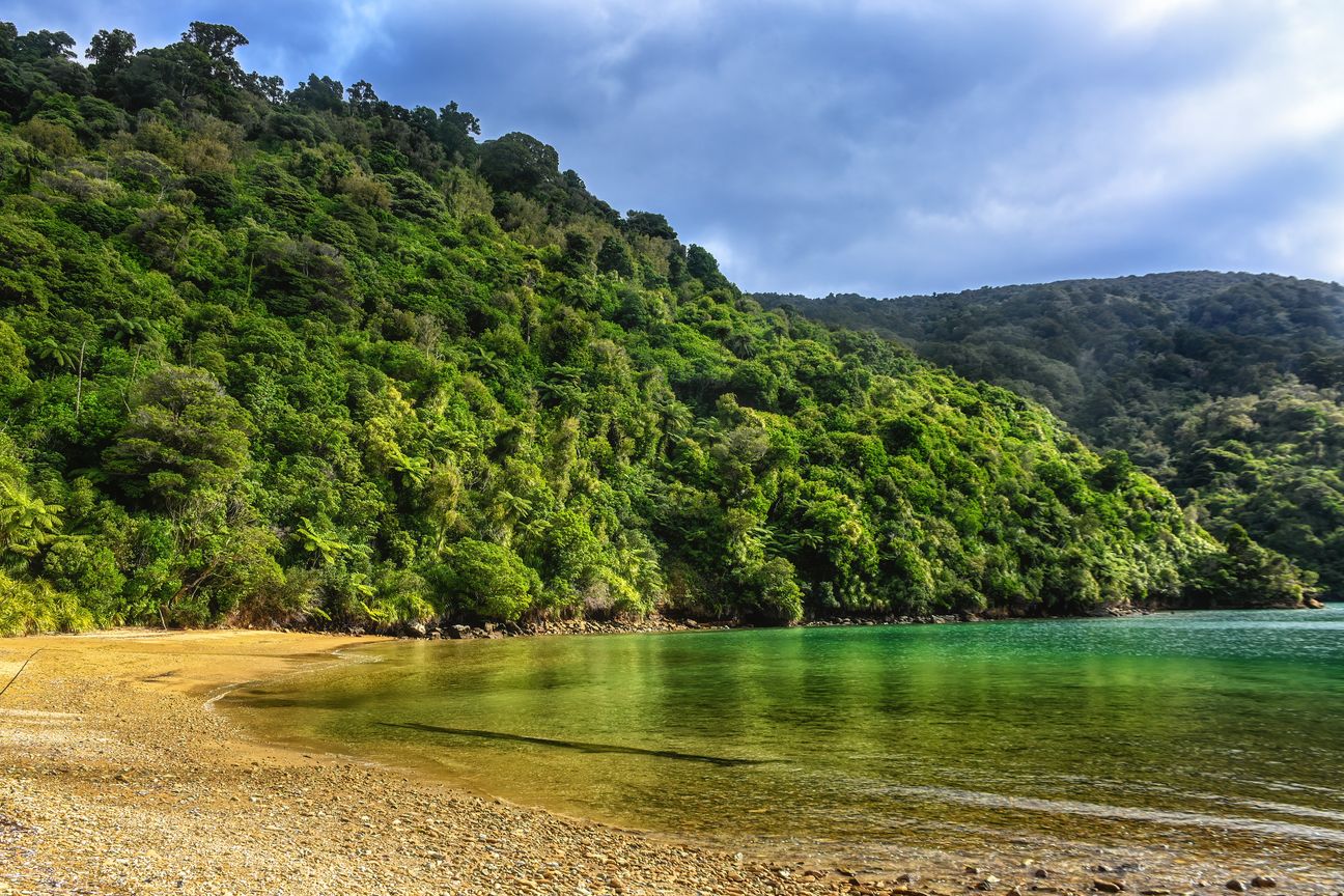 Discounted sections - get in now! (Lot 15) – další