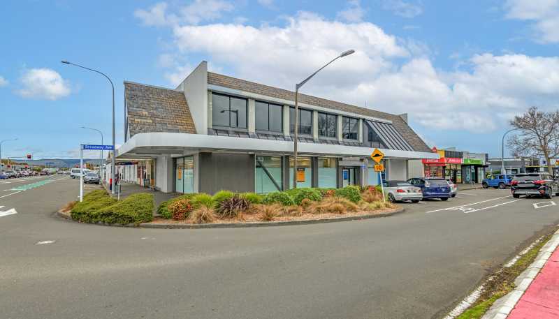 234 Ruahine Street, Roslyn