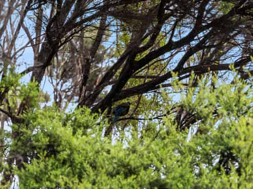 Lot 1, 193 Tern Point, Mangawhai
