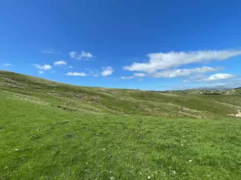 384 Waikakahi Road, Pongaroa
