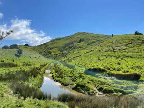 384 Waikakahi Road, Pongaroa