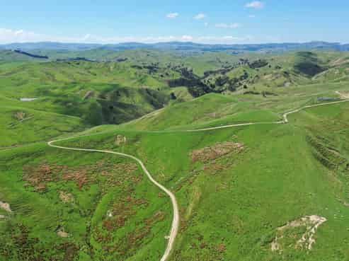 384 Waikakahi Road, Pongaroa