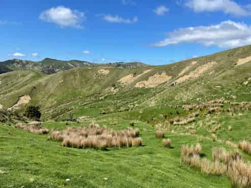 384 Waikakahi Road, Pongaroa