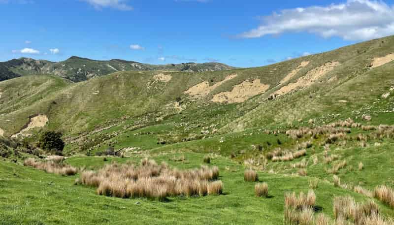 384 Waikakahi Road, Pongaroa
