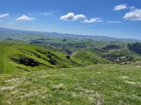 384 Waikakahi Road, Pongaroa