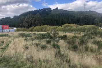Vacant industrial land in Kaikorai Valley