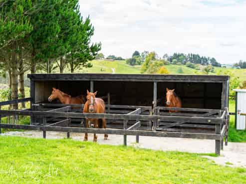 227 Porter Road, Paparoa